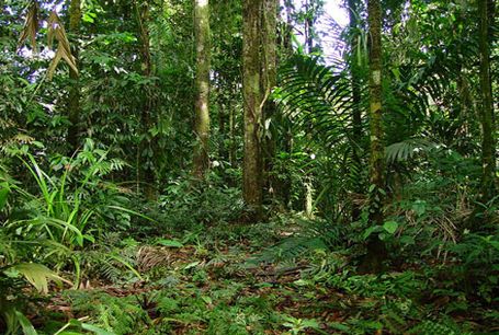 park costa rica