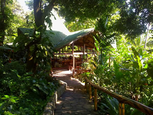 Aguila de Osa Costa Rica Hotel in Drake Bay