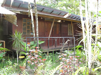 Cabinas, Juice Joint y Super C&J, Puerto Viejo de Talamanca, Limón, Costa Rica