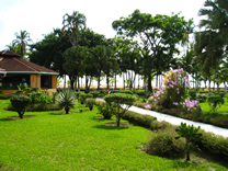 Restaurante del Hotel MinOtel Las Palmas, Punta Uva, Puerto Viejo deTalamanca, Limón, Costa Rica